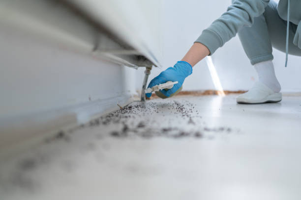 Best Commercial Pest Control Services  in Bangor, PA